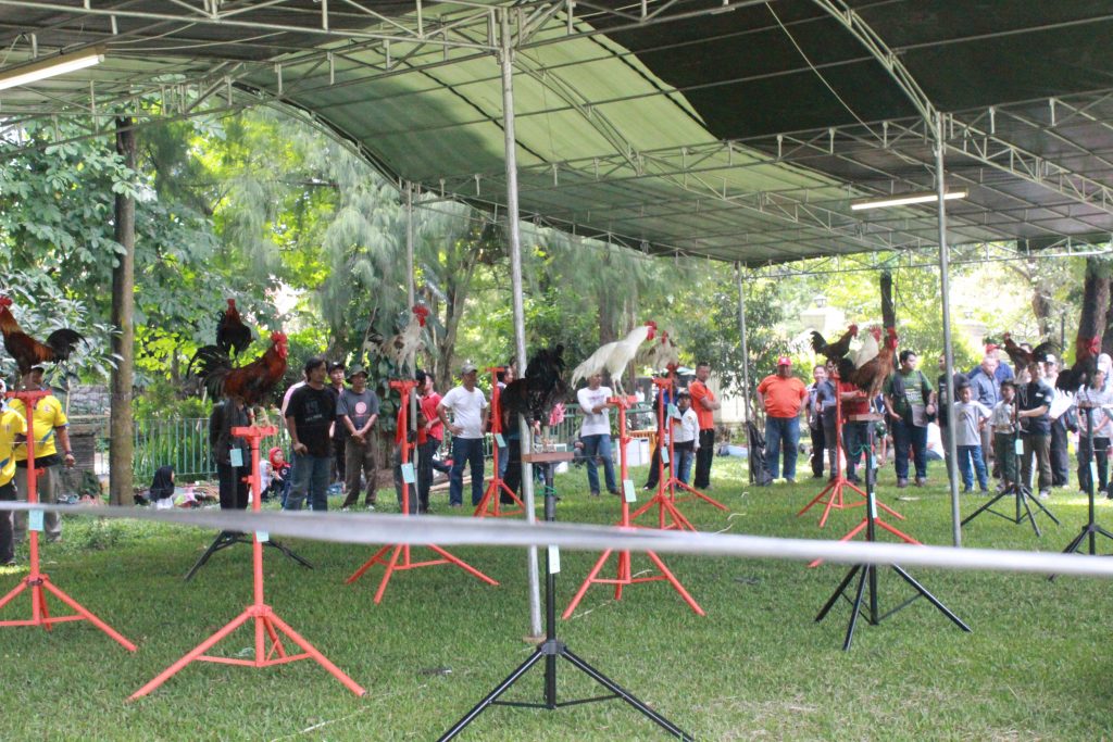 lomba